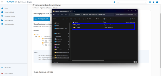 Manual_09_CERTIFICADOS DIGITALES_234