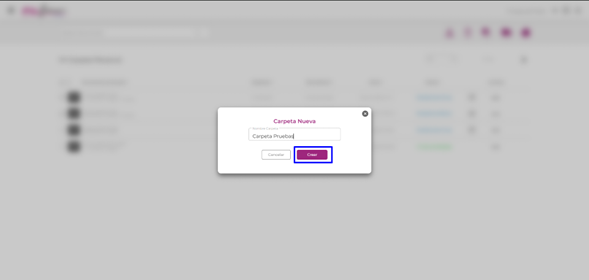 Manual_02_Mi Firma_133