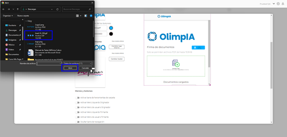Manual_02_Mi Firma_489