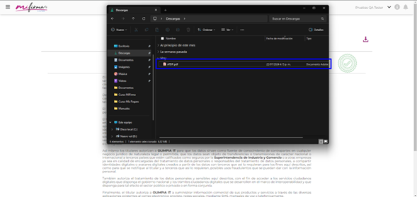 Manual_02_Mi Firma_619