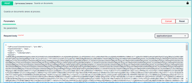 Manual_01_MIS PAGARES_33