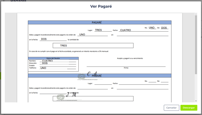 Manual_02_MIS PAGARES_43