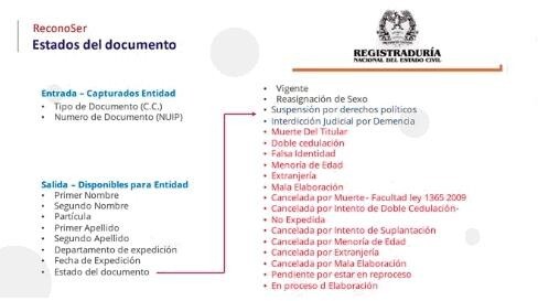 Manual_02_RECONOSER_19