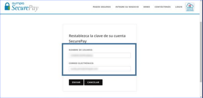 Manual_04_SecurePay_10