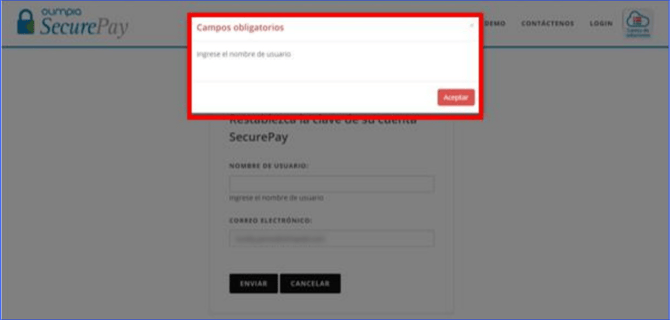 Manual_04_SecurePay_12