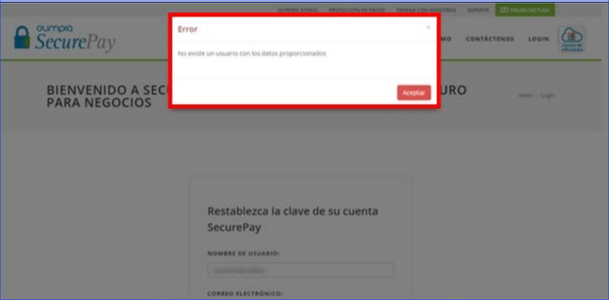Manual_04_SecurePay_13
