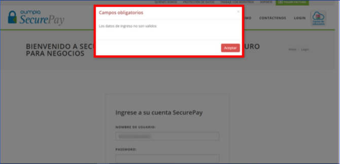Manual_04_SecurePay_15