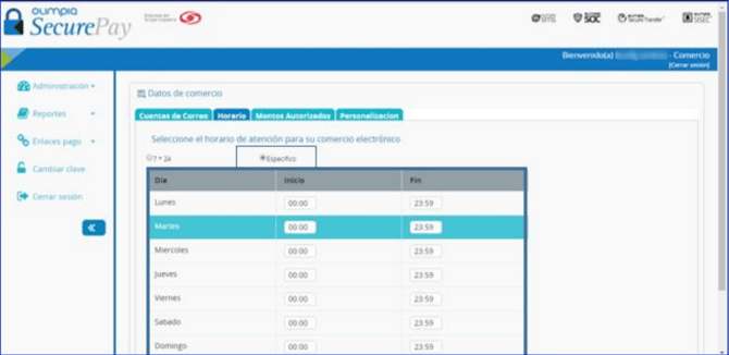Manual_04_SecurePay_31