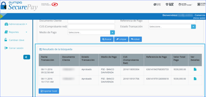 Manual_04_SecurePay_41