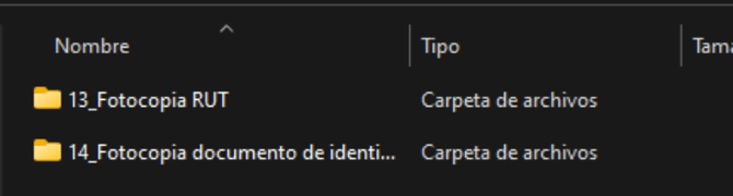 Manual_01_CERTIFICADOS DIGITALES_102